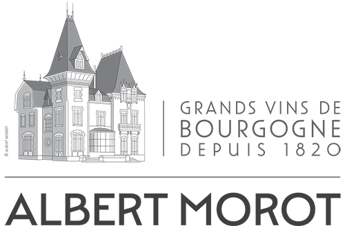 Domaine Albert Morot